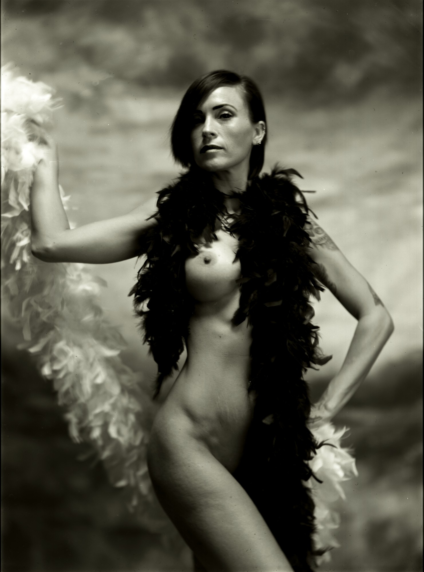 Modello: Scarlett begonie