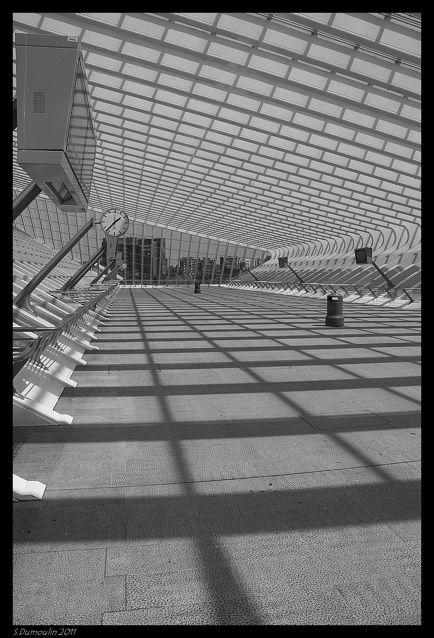 Liege guillemins