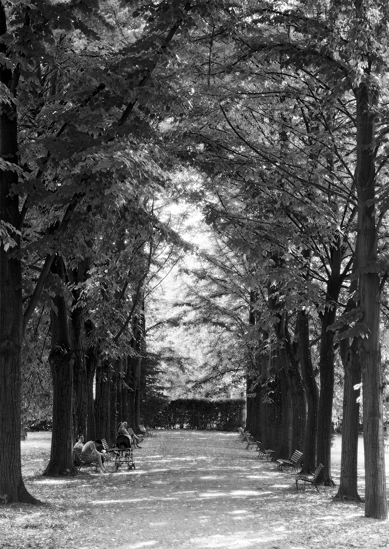 Parco di villa Favard a Firenze Rovezzano