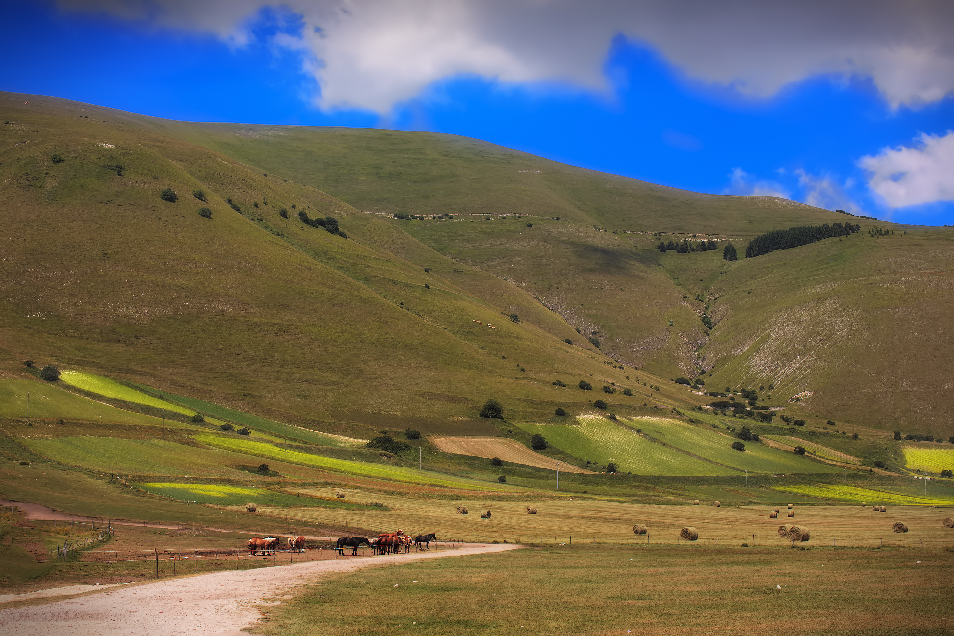 Castelluccio di Norcia8