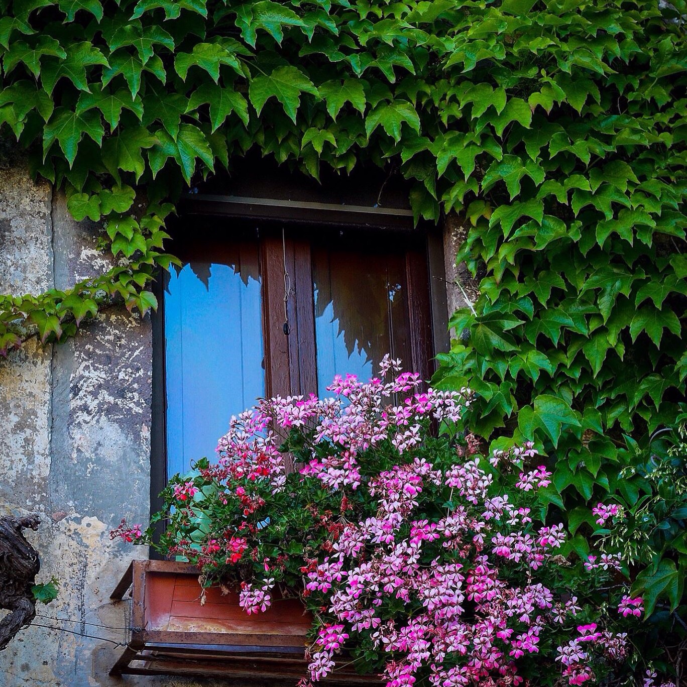 Vecchio borgo in fiore