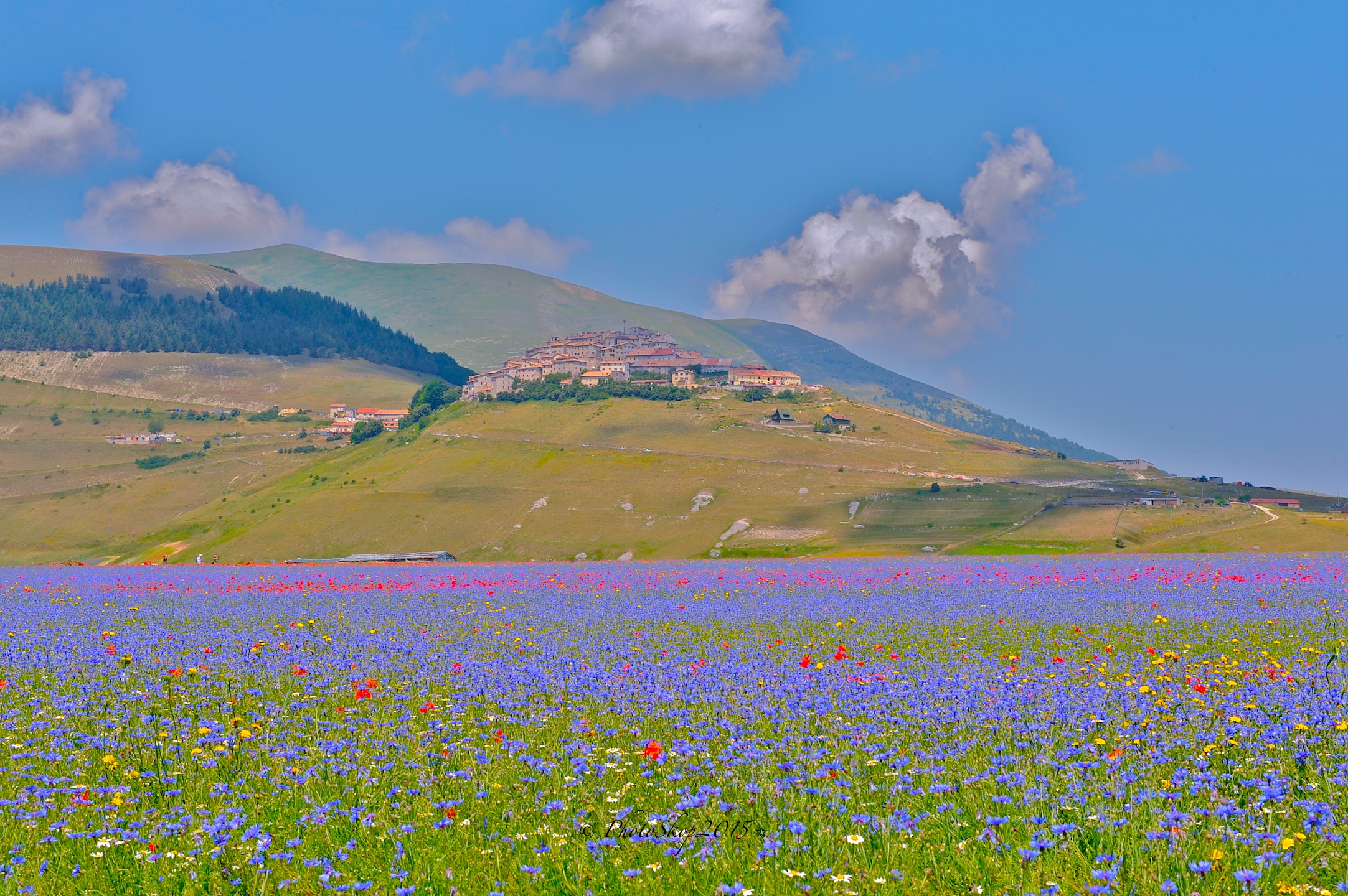 Castelluccio di Norcia dal piano Grande