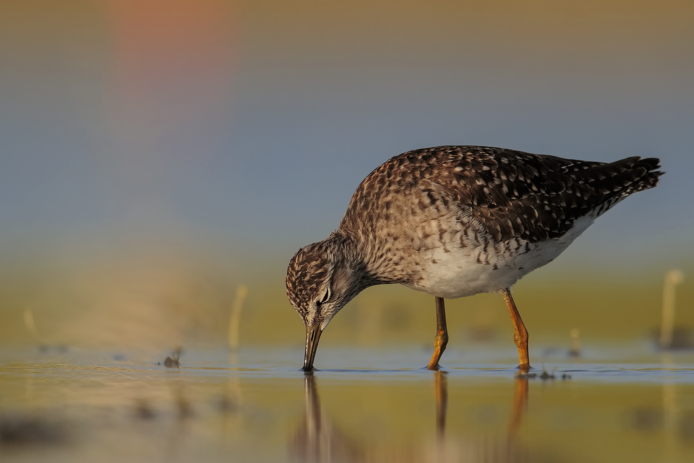 The last picture of ..tramonto!