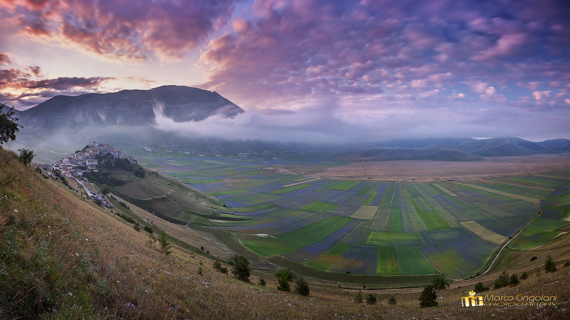 la fioritura di castelluccio