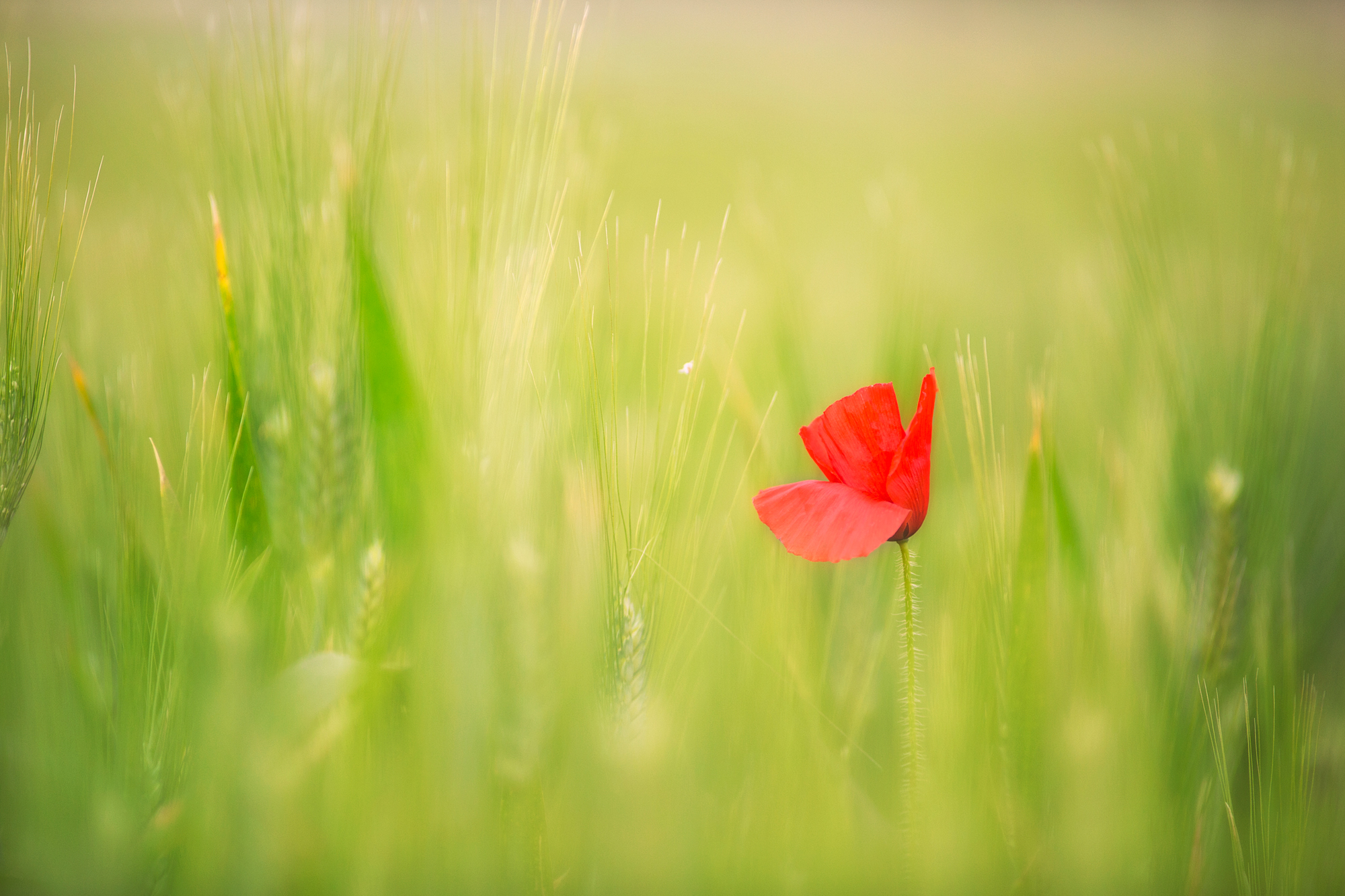 Dare to be different