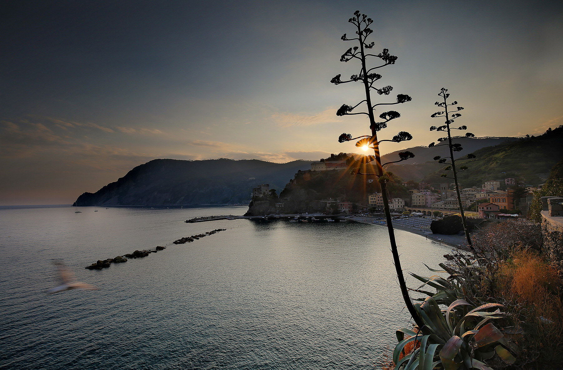 flying into the sunset