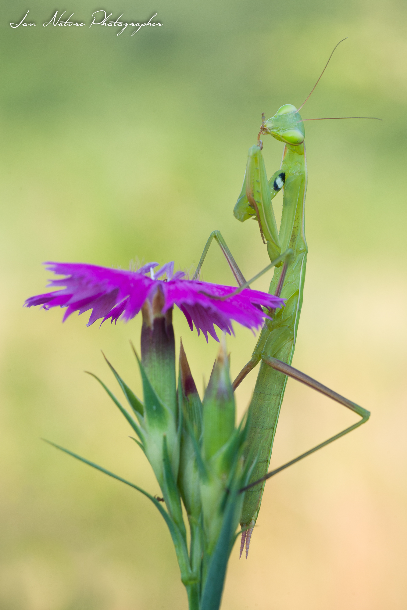 shhhh... qui si prega