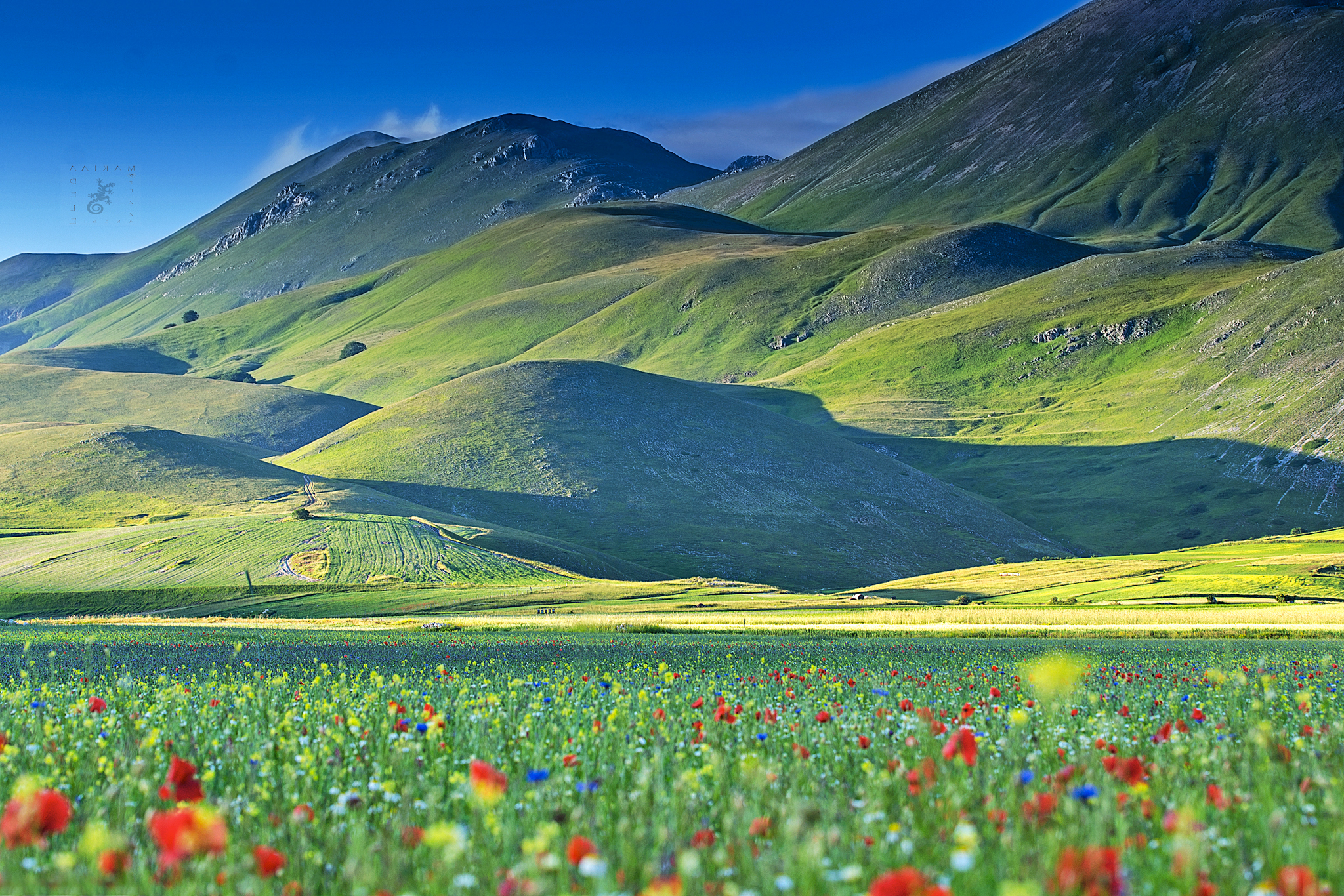 Sweet and classic Castelluccio