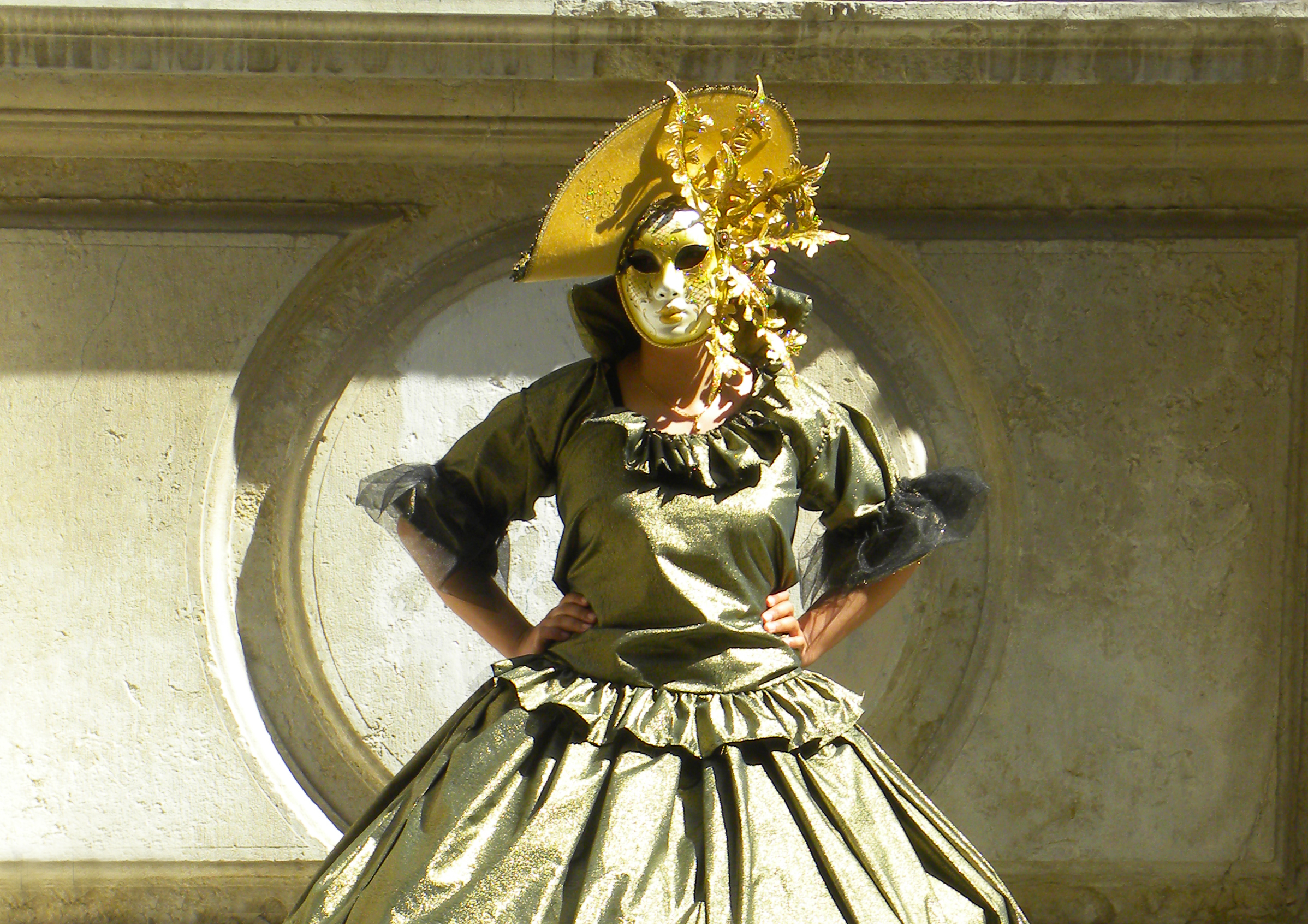 Carnival in Venice with mask gritty