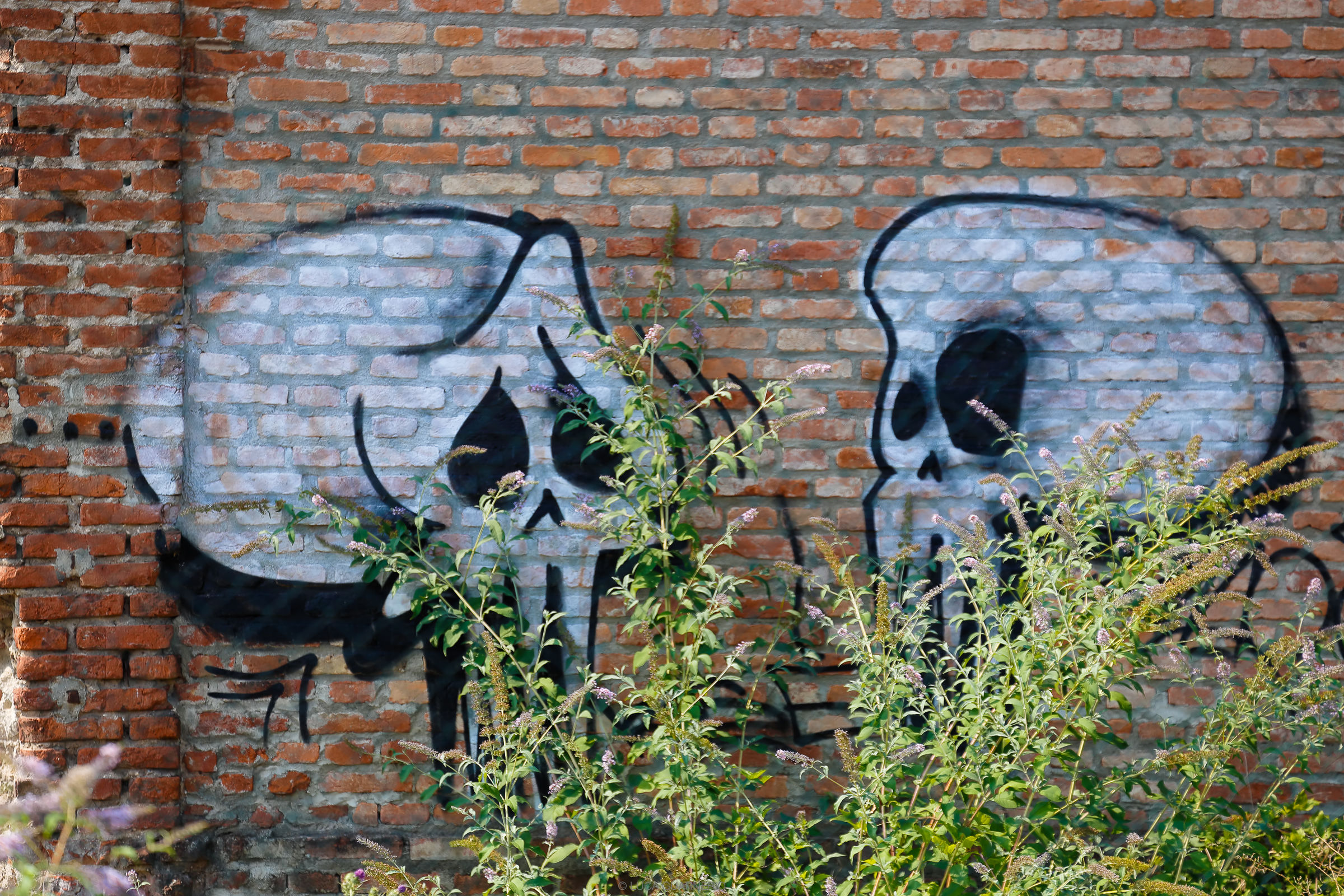 brescia industriale street art