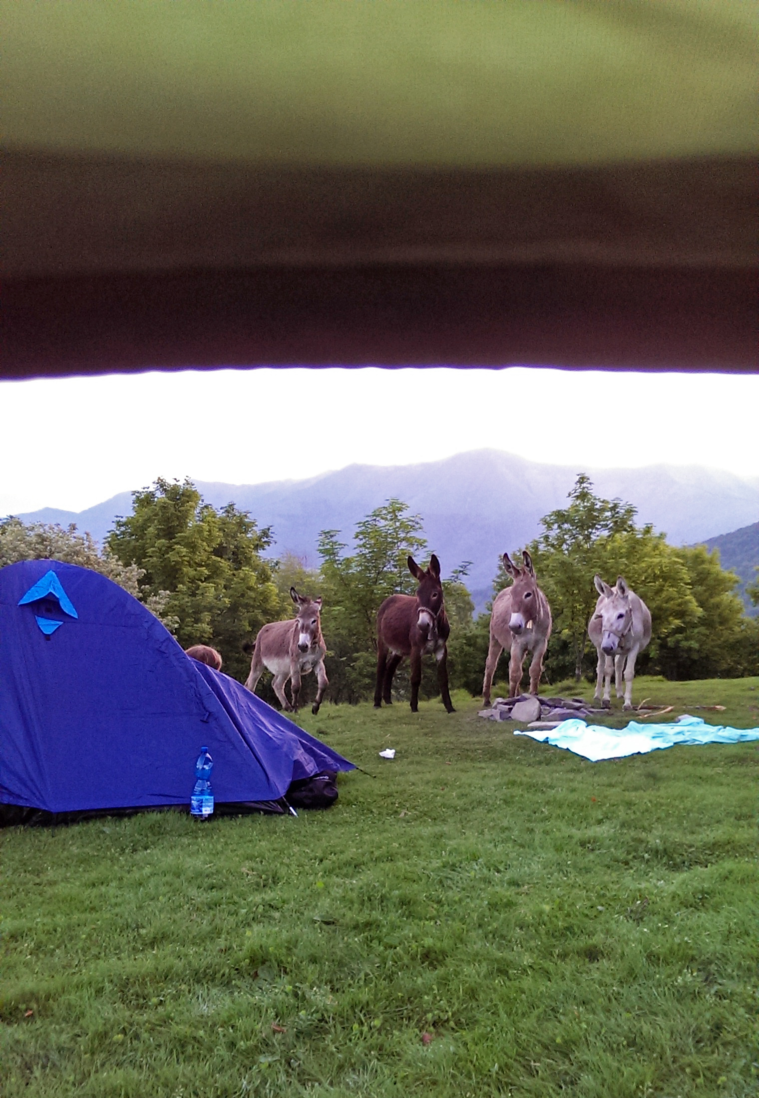 Una sveglia un pò particolare