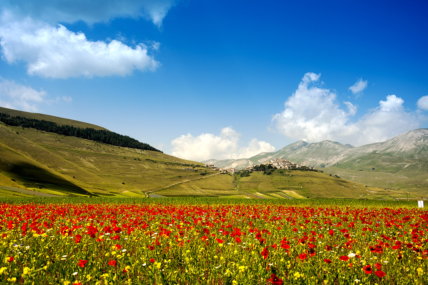 Castelluccio