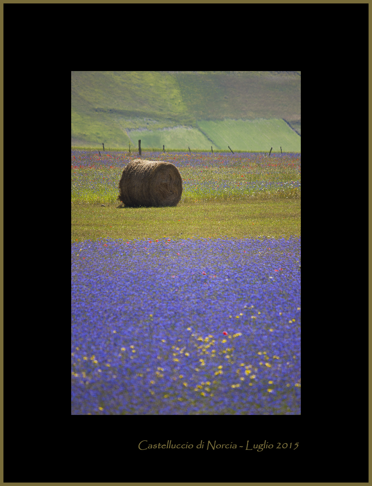 Castelluccio di Norcia