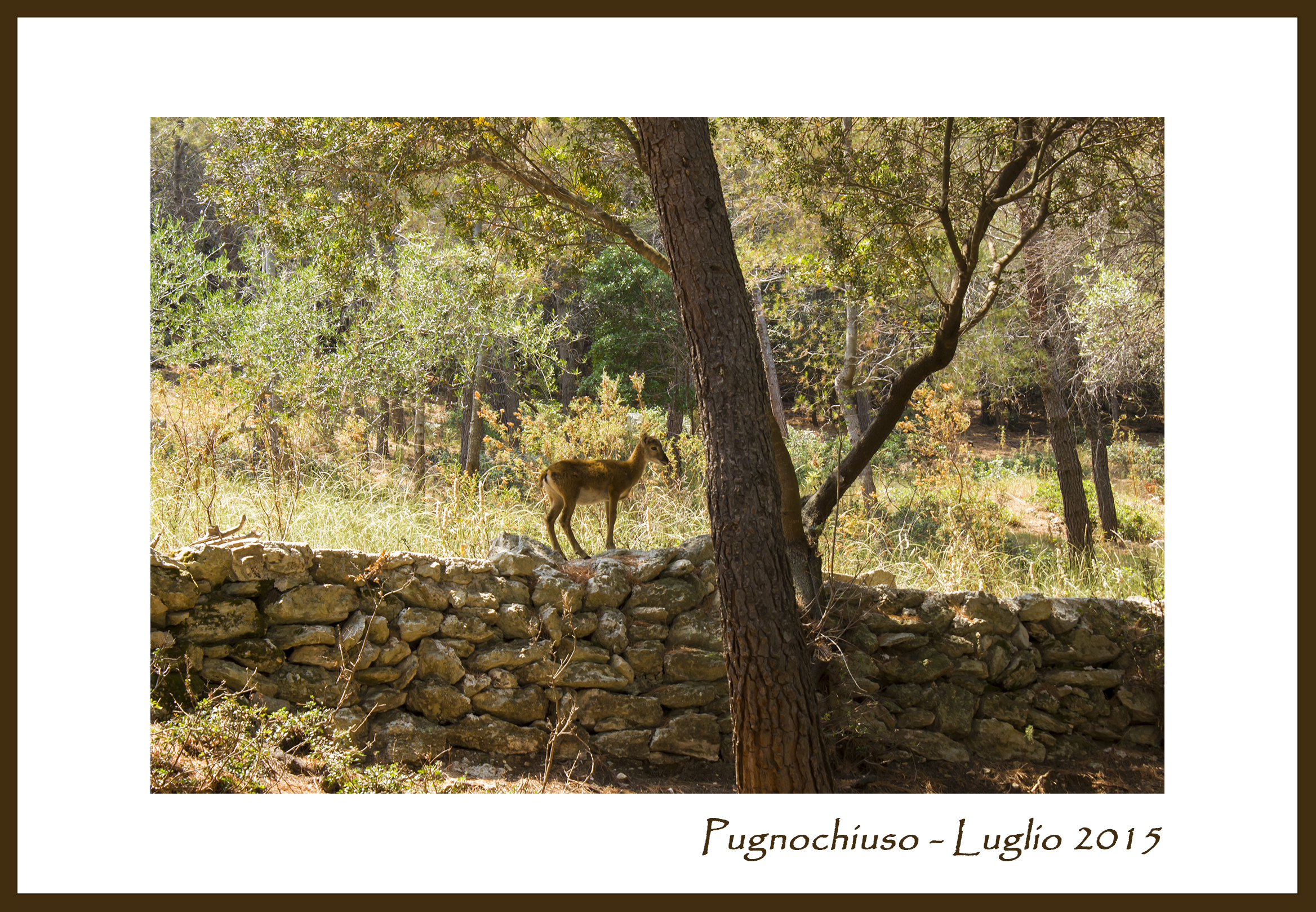 unexpected encounter ...