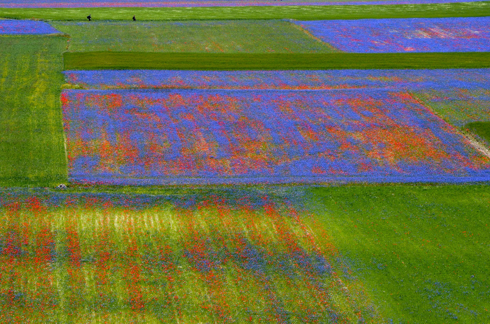 colors of castelliccio 2