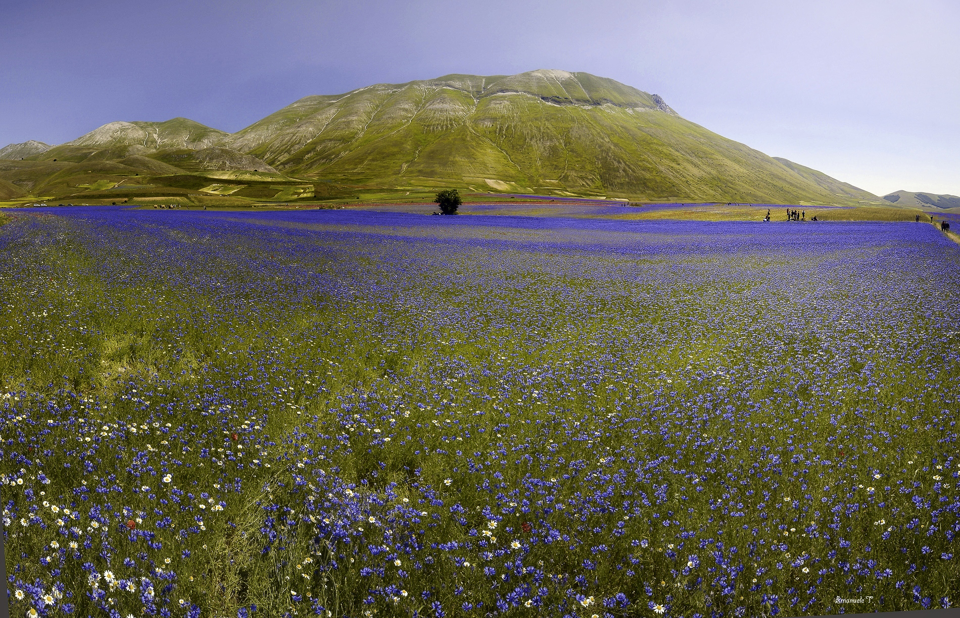 At the foot of Mount Carrier