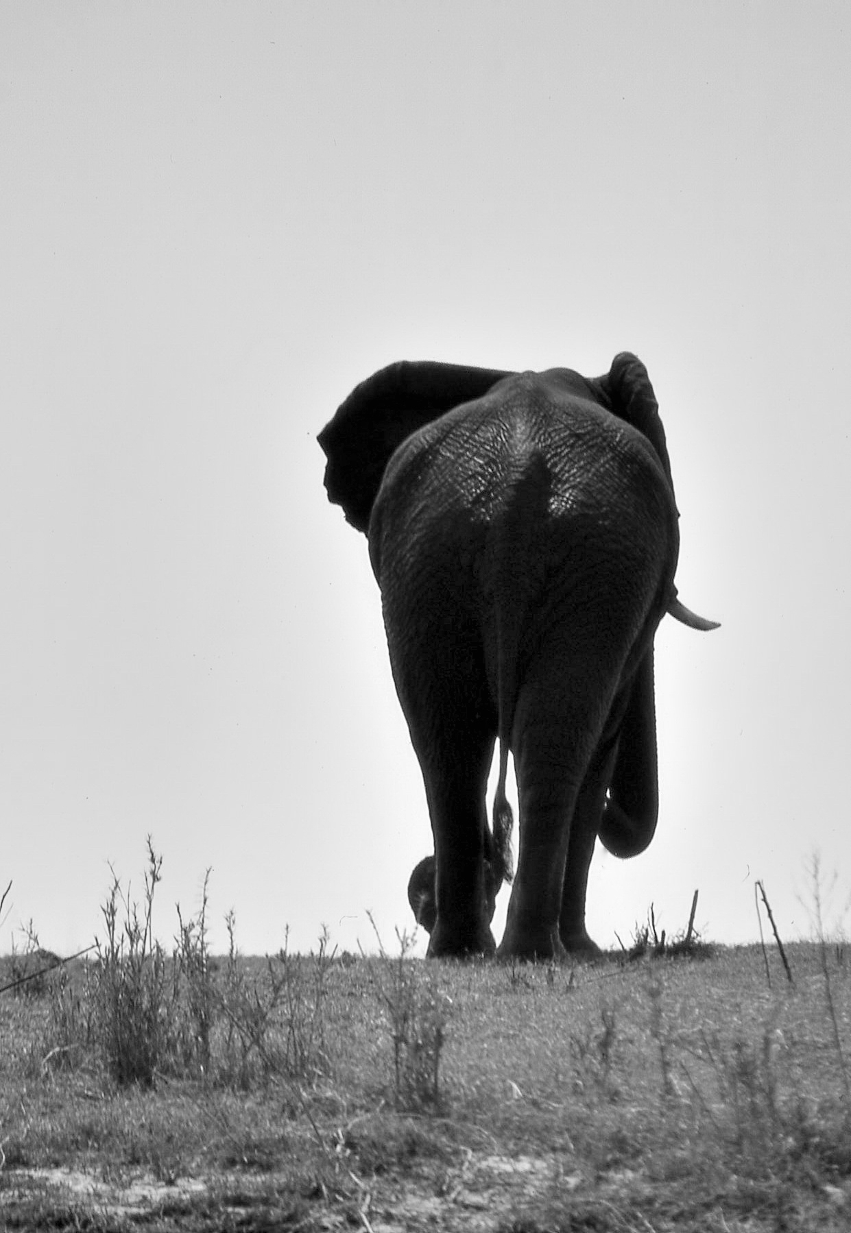 The Undiscovered Country