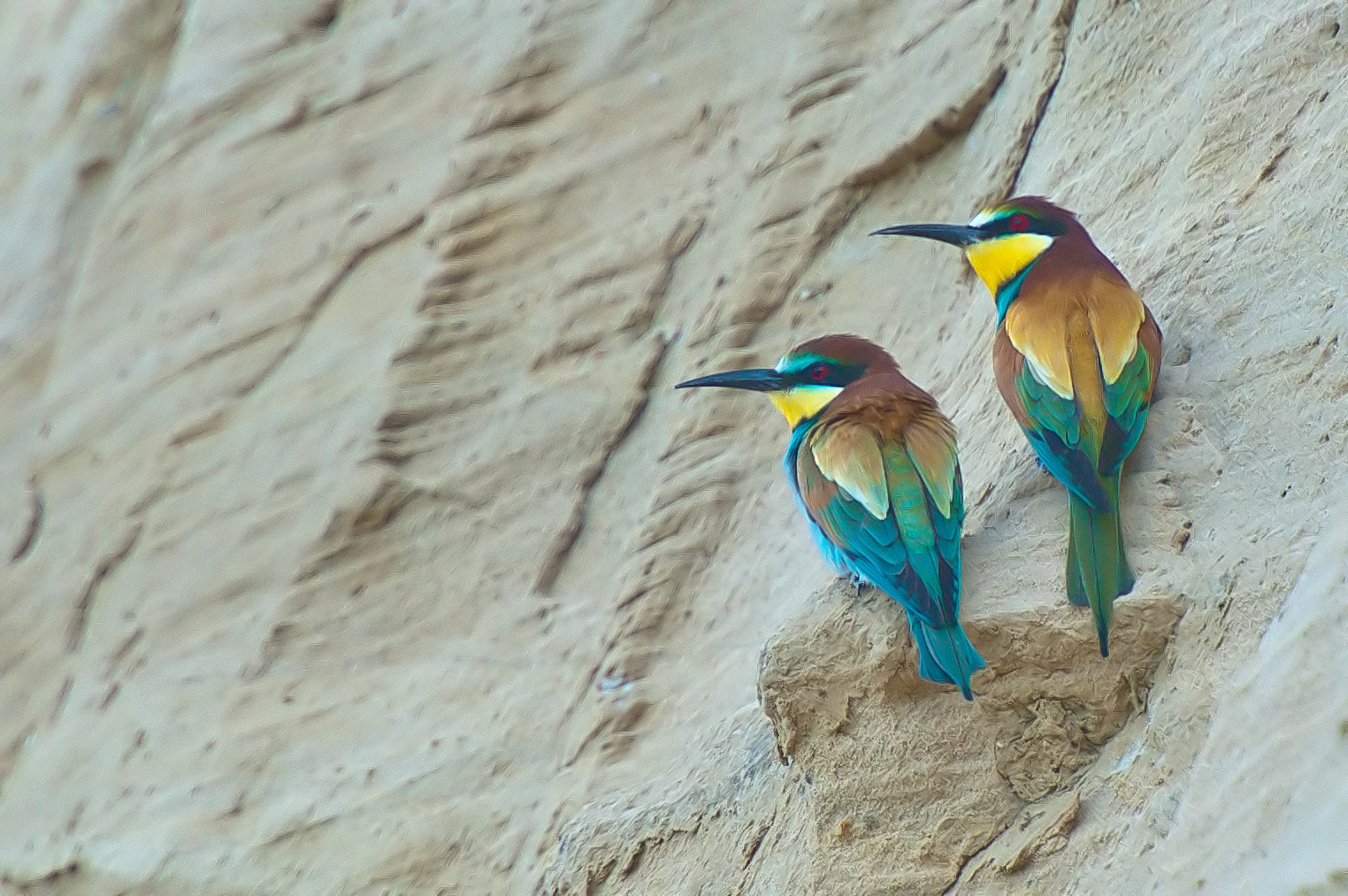 la prima coppia......