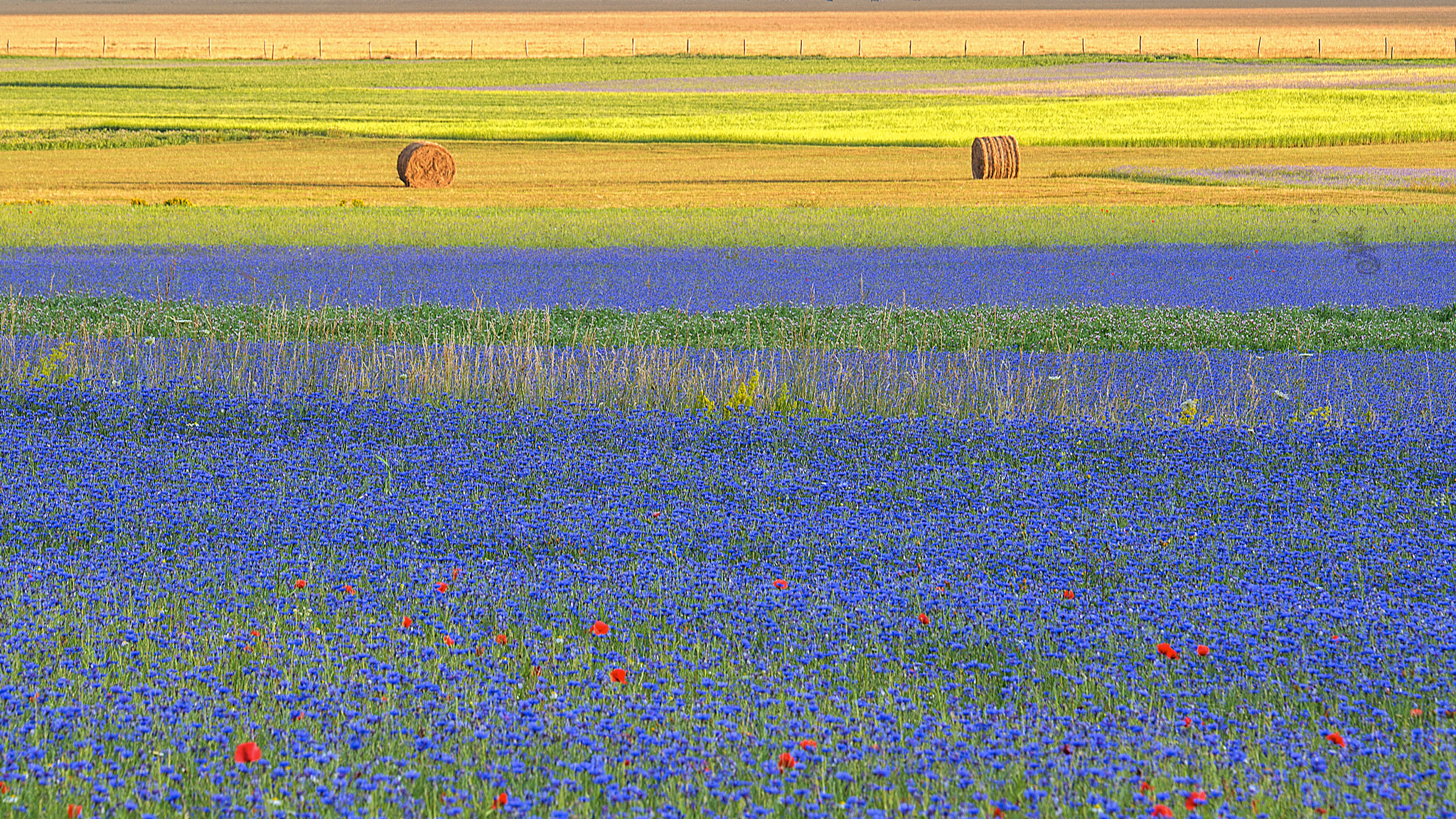 Almost as I would like