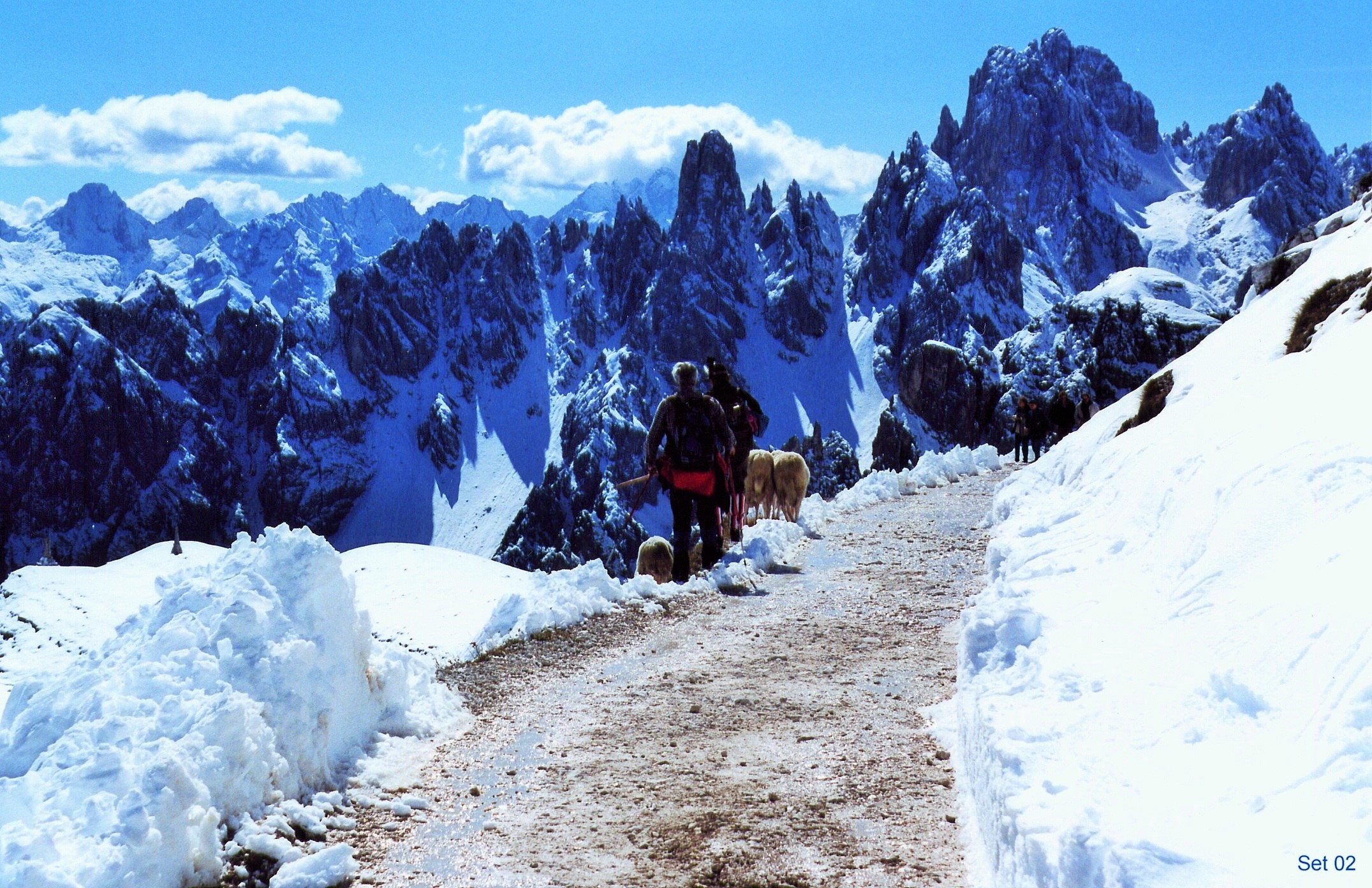 Surprised by sudden snowfall