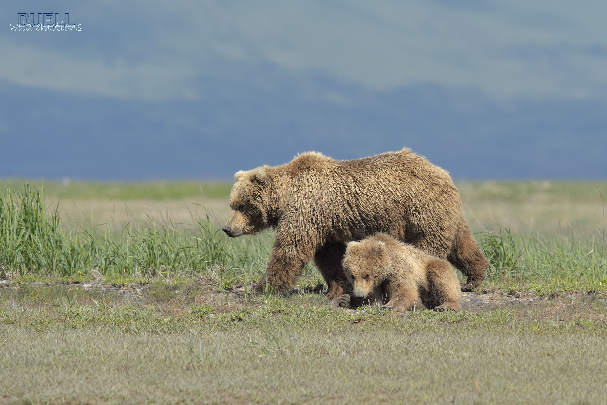 Mom and little grumpy