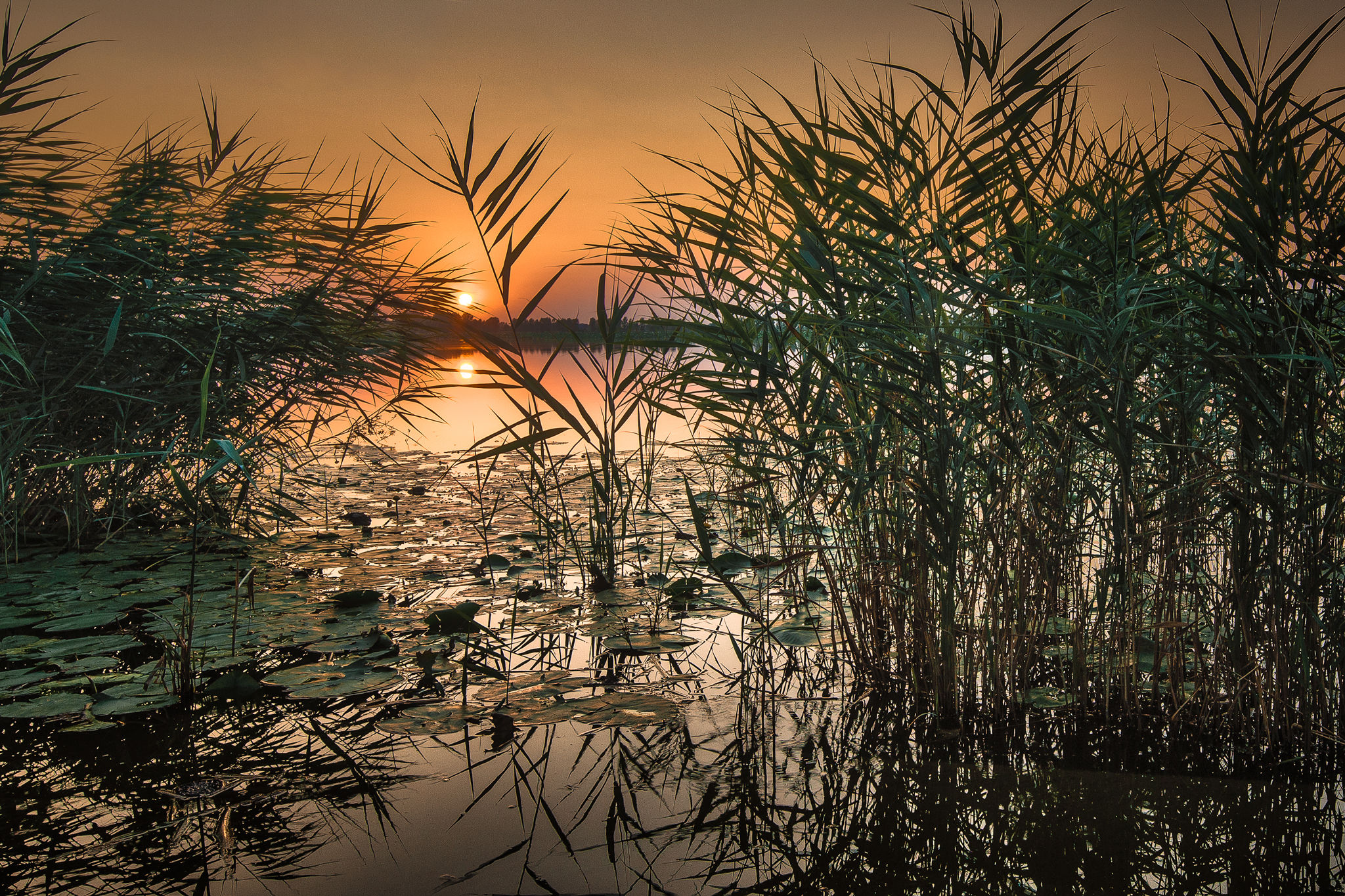 The magic of the lake