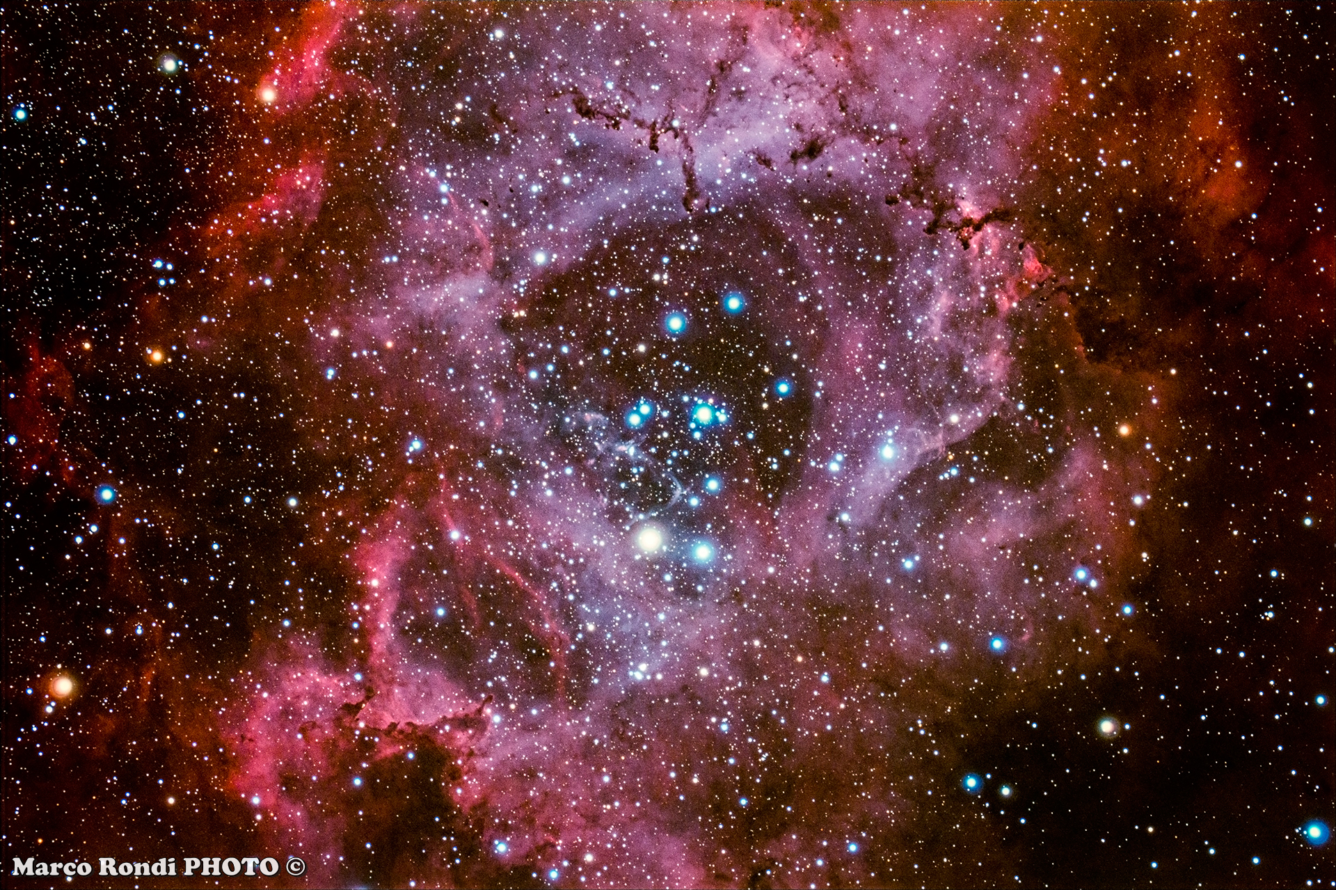 Rosette Nebula