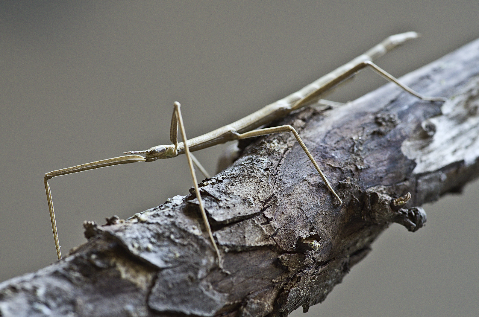 Protagonisti del Macromondo #3