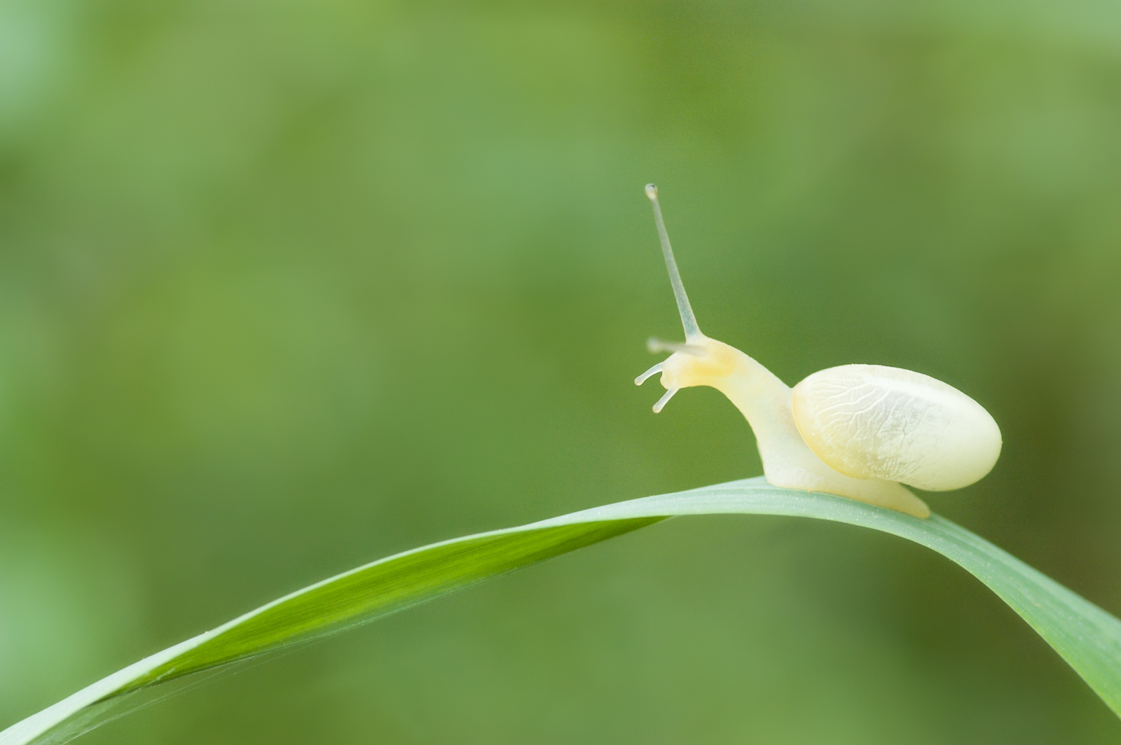 Protagonisti del Macromondo #5