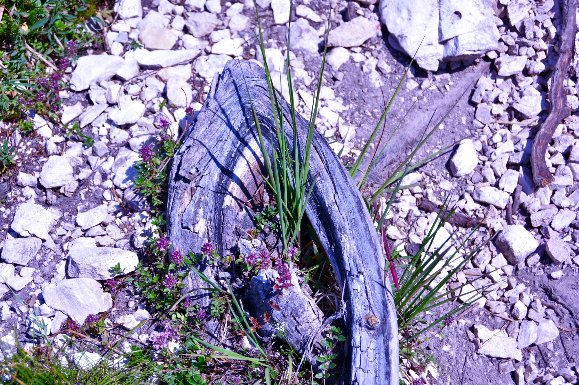 Capitello sul sentiero