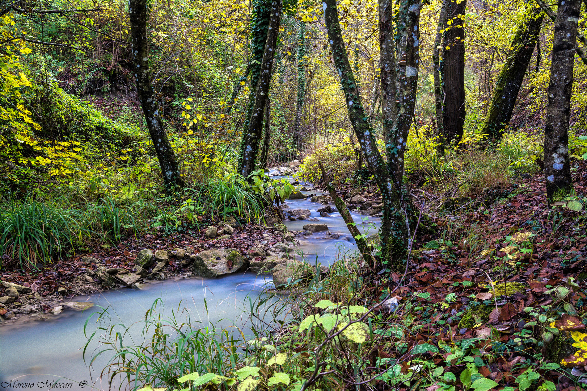 The rio Tassaro in its autumn colors