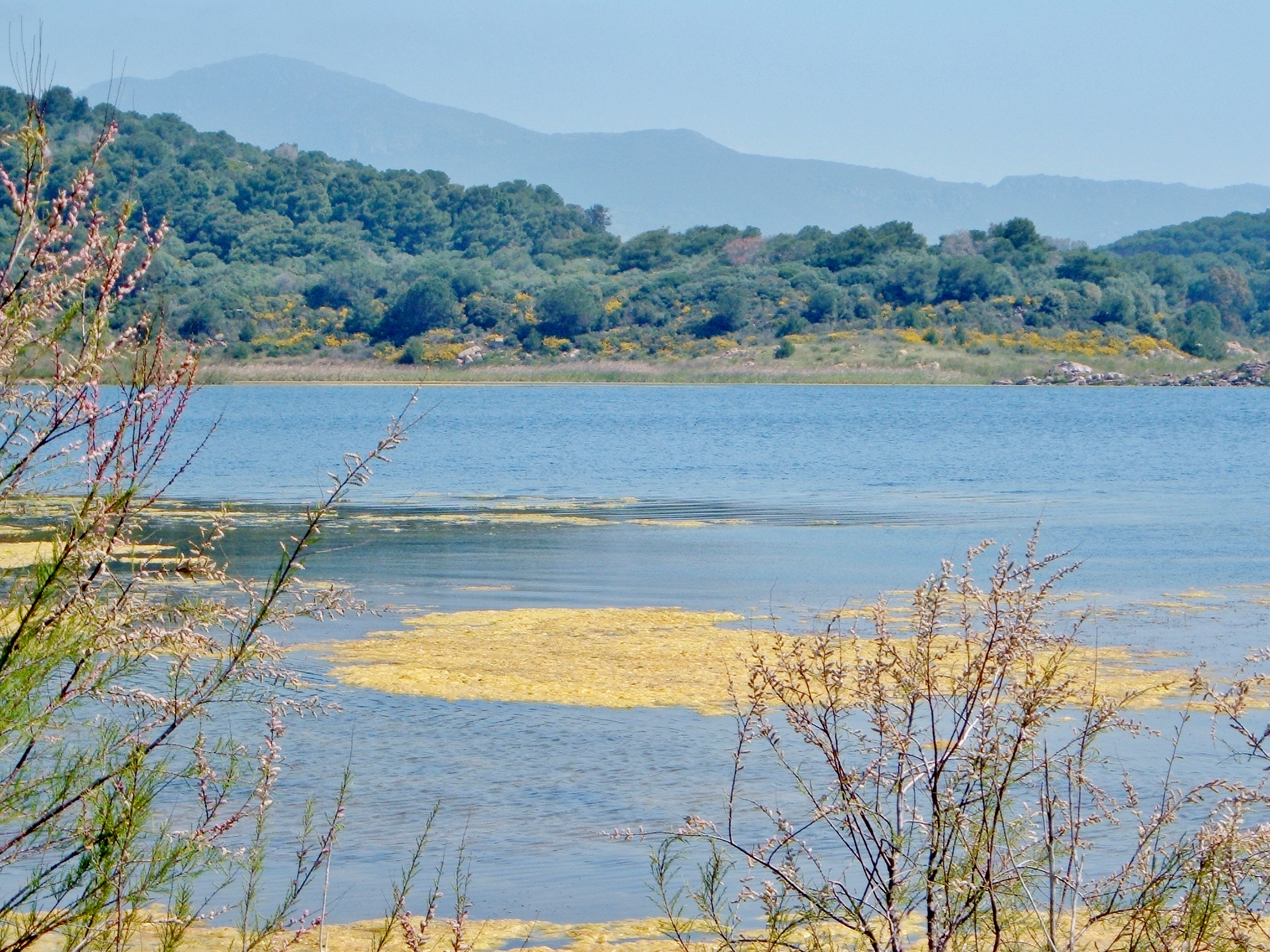 lago baratz - sardegna