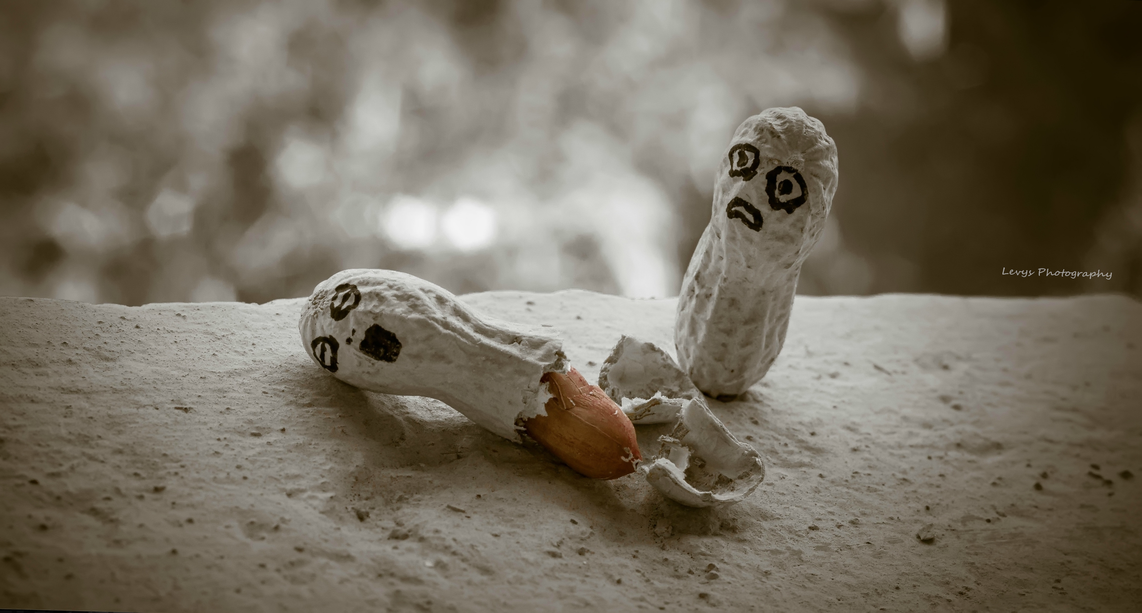 per chi ama le noccioline