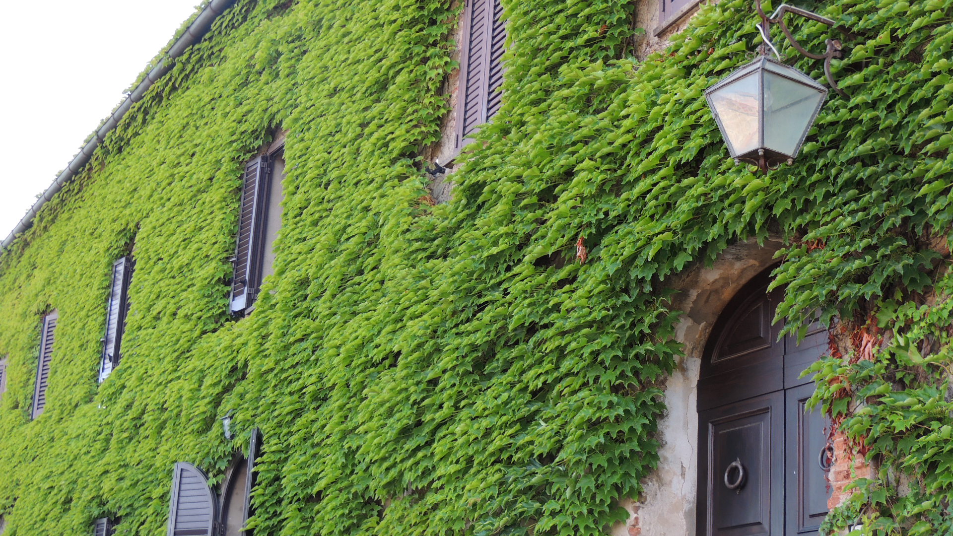 is it a green field?