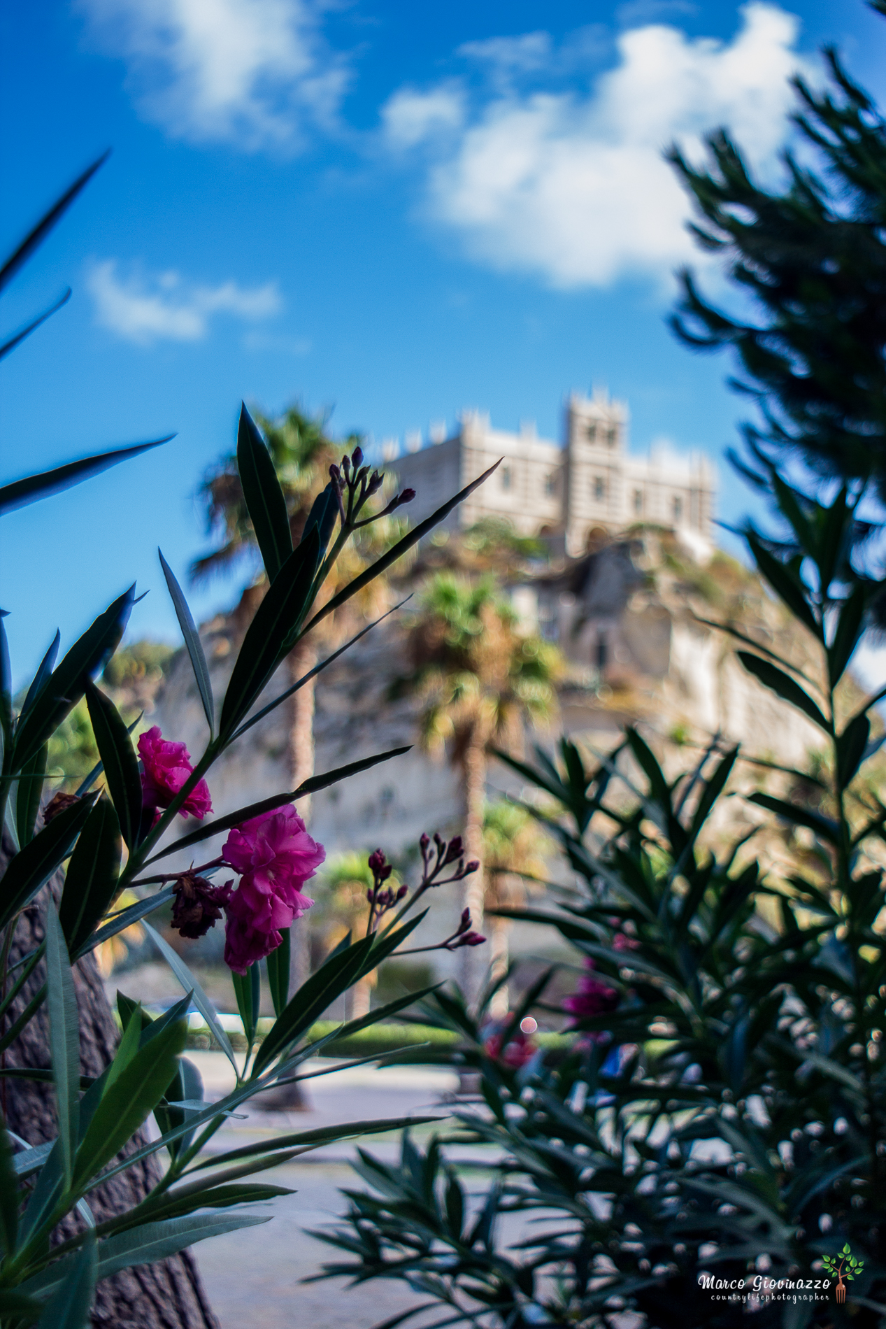 Our Lady of the Island, Tropea