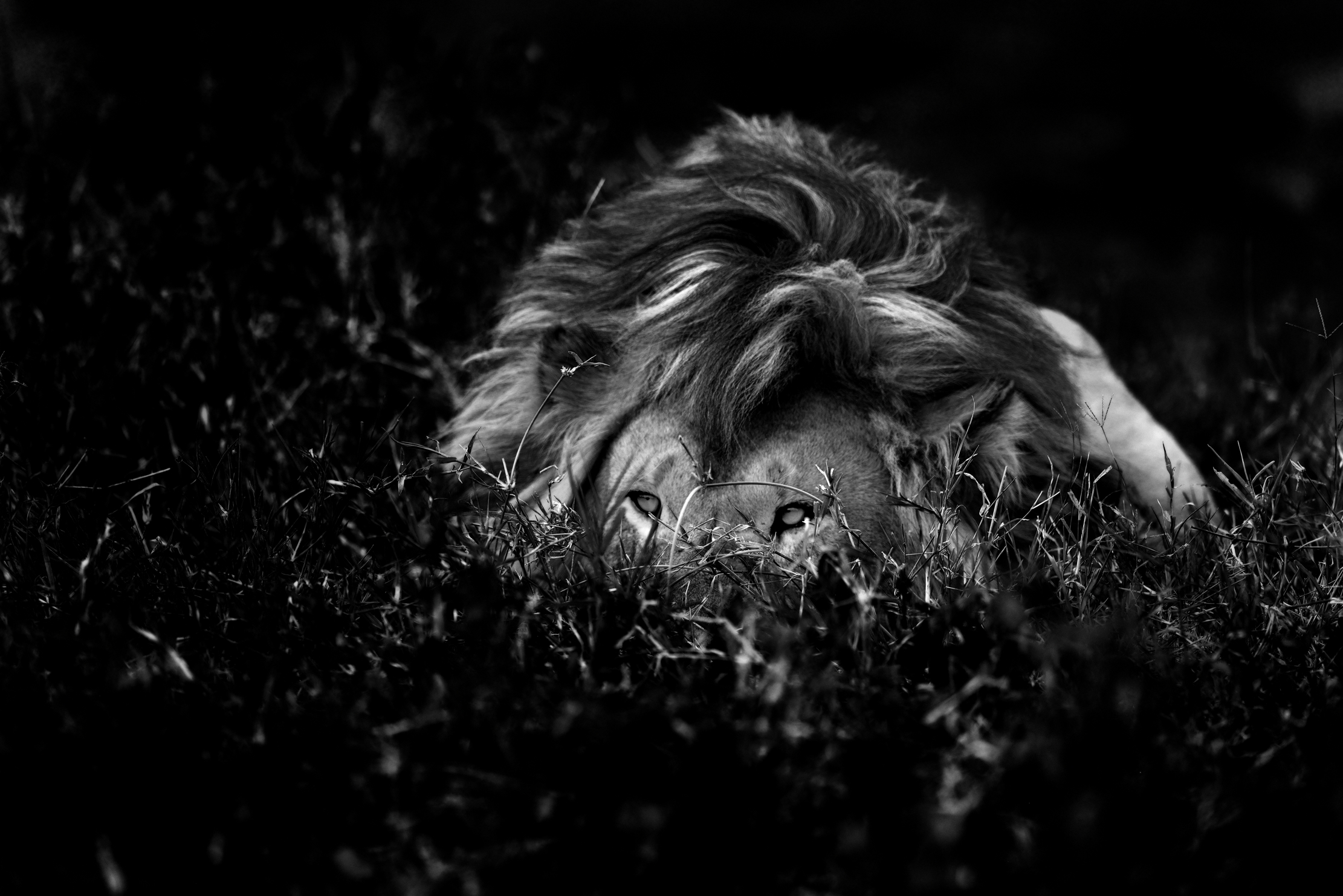 Tanzania 2015 - B & W