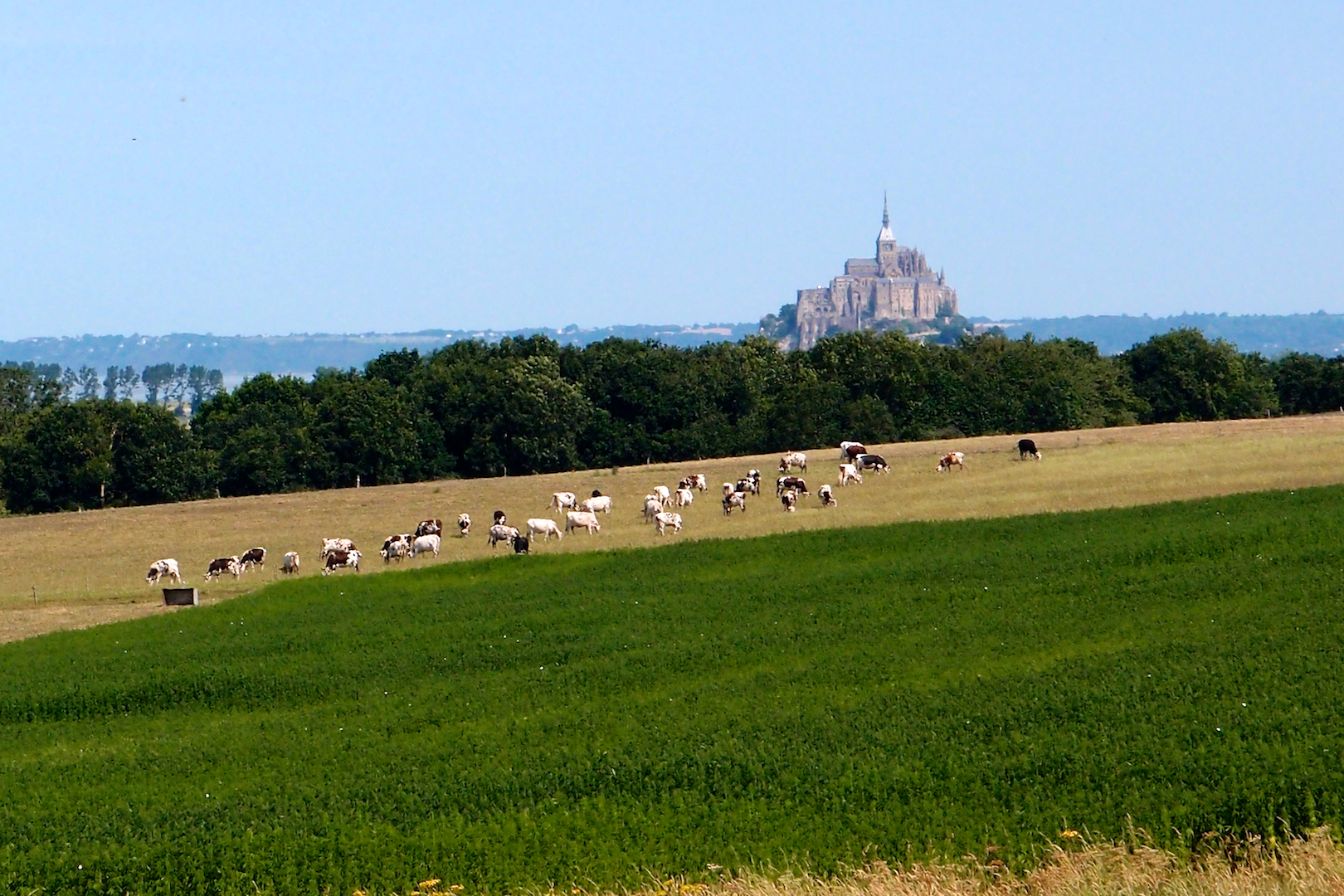 Mont Saint Michel in lontananza...