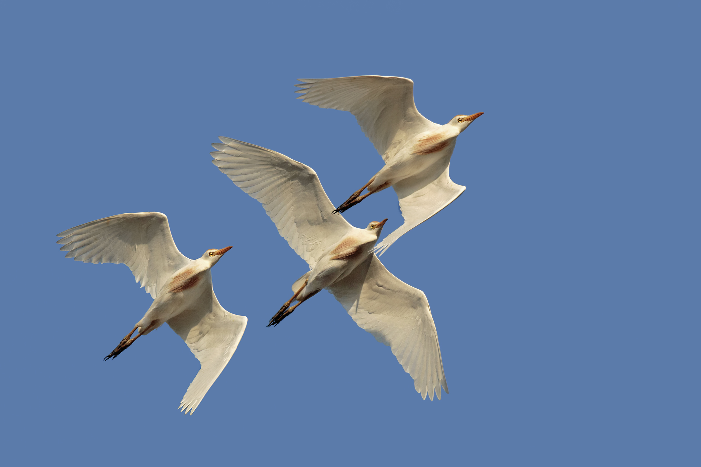 Nel vento - ritorno alla colonia al tramonto