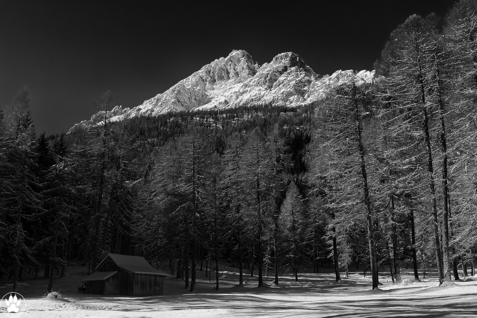 Il Gruppo dei Baranci