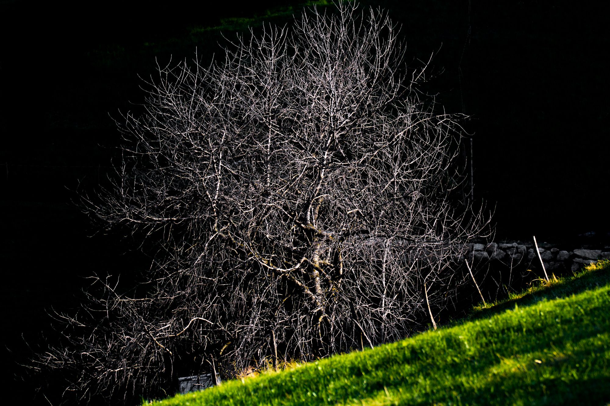 dall'alba al mattino