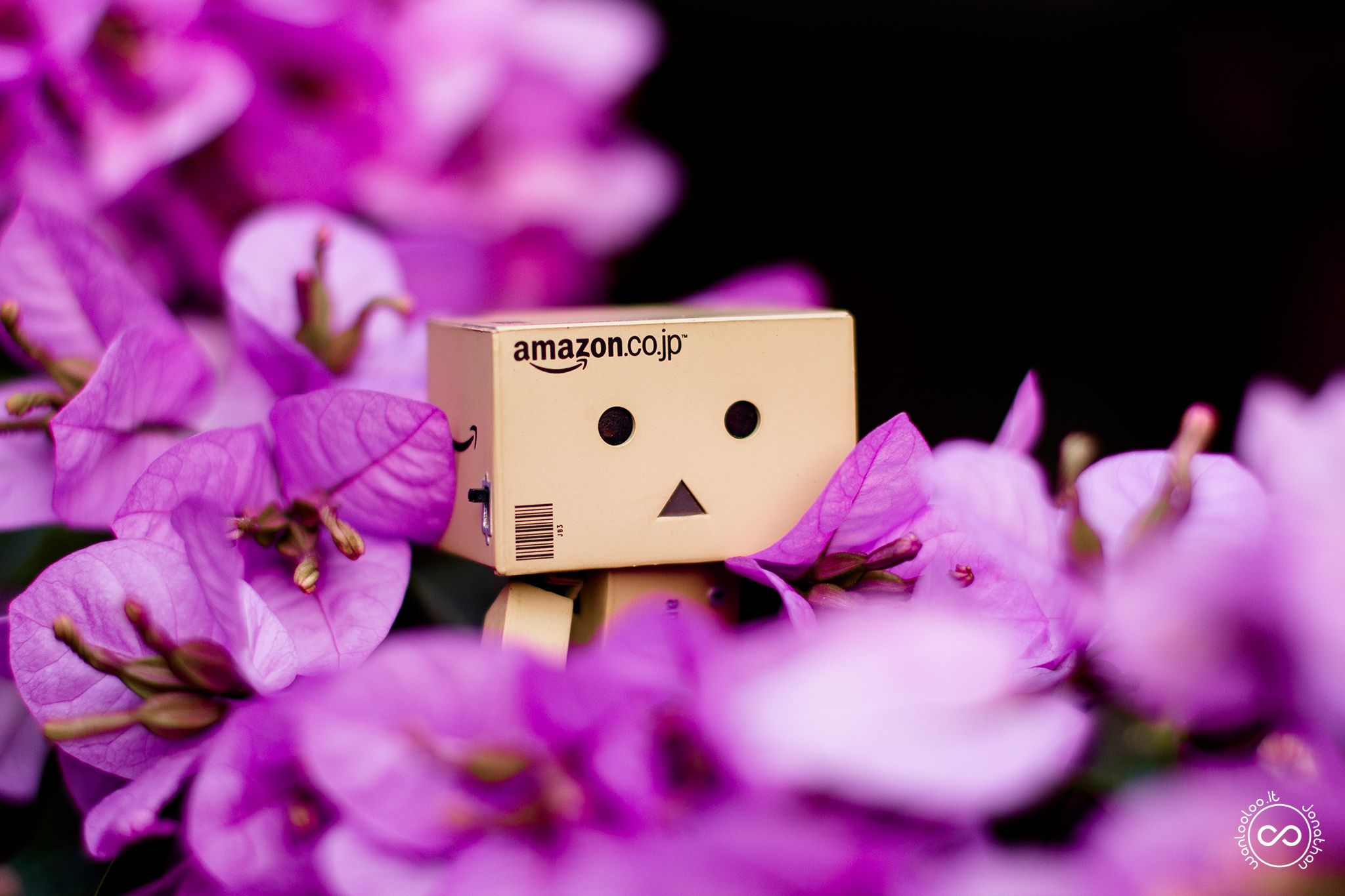 Danbo with the flowers!