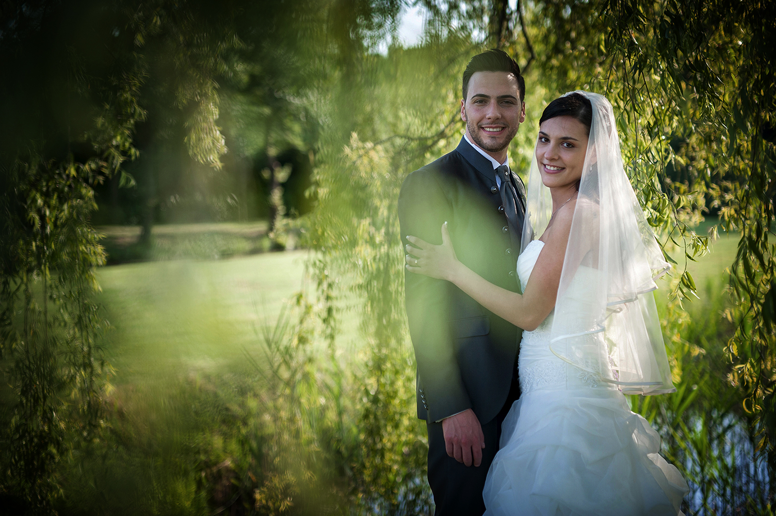 Through the branches of a willow