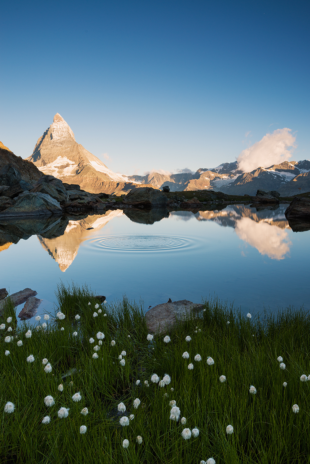 La quiete dopo l'alba