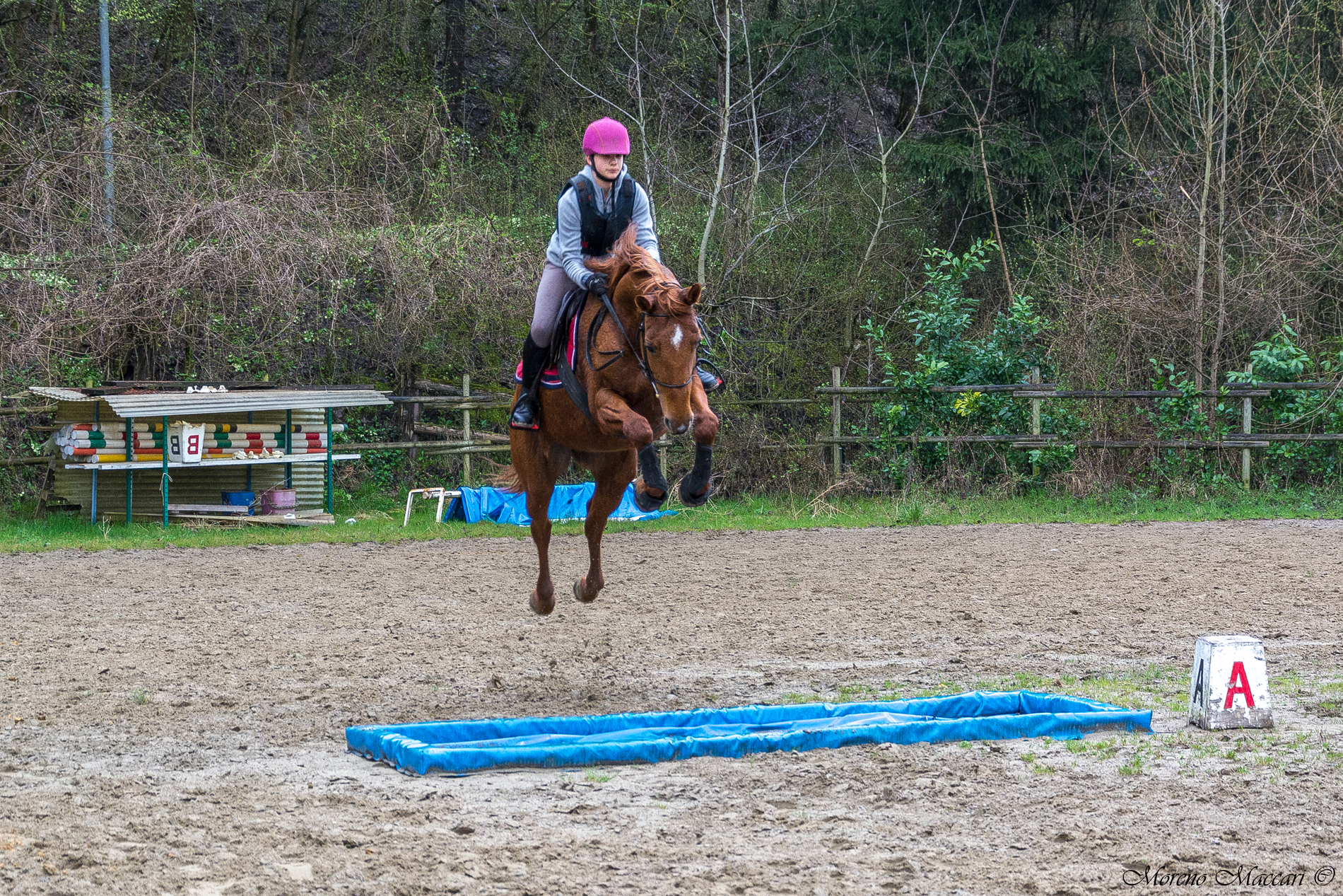 Flying without wings (1)