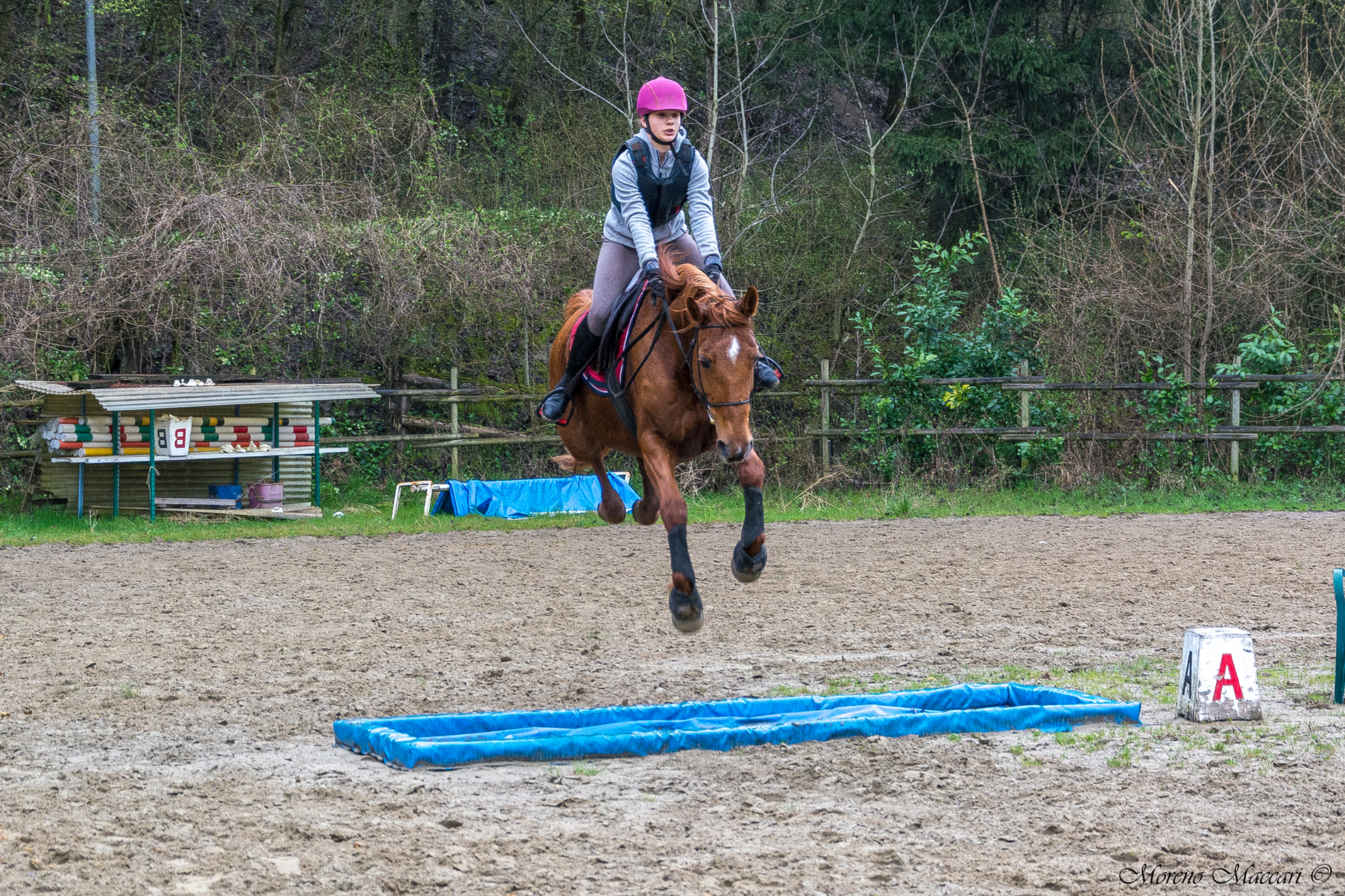 Flying without wings (2)