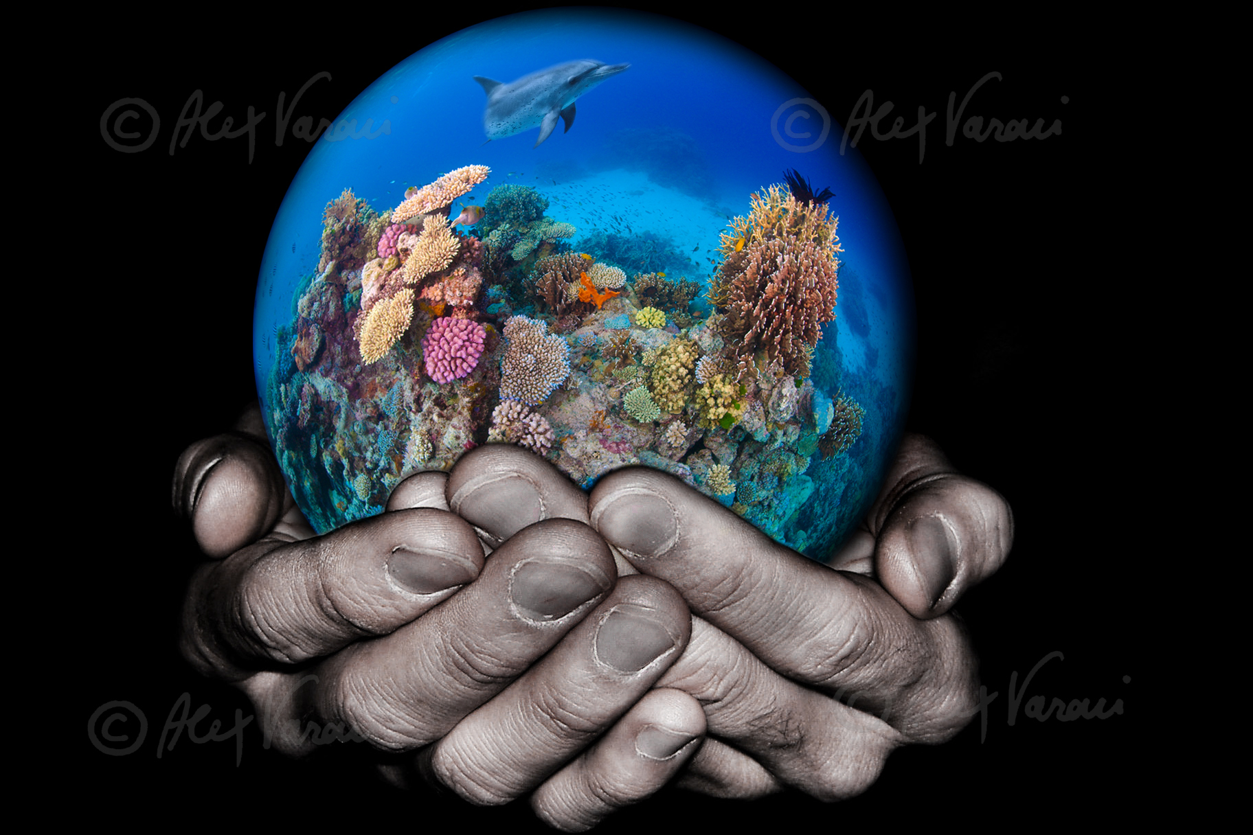 Take care of the reef