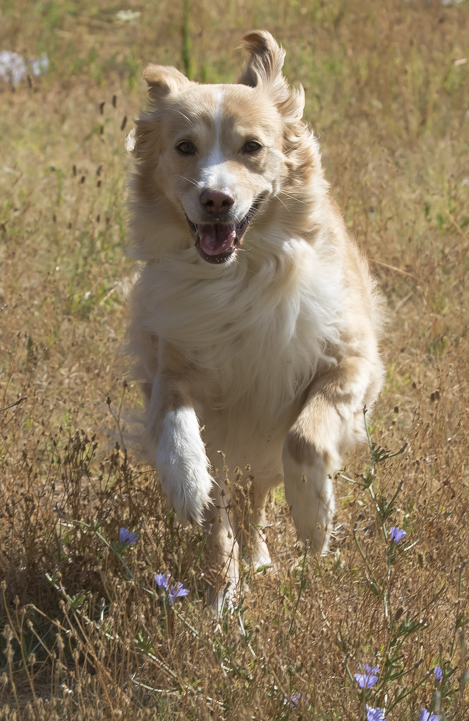 Il mio grande amore!!!!
