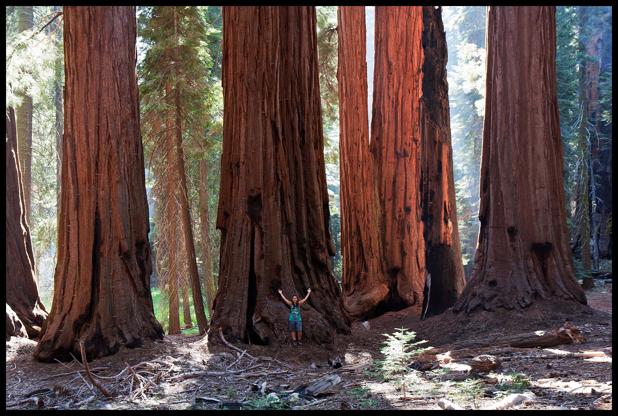 The Smurfs are we ...