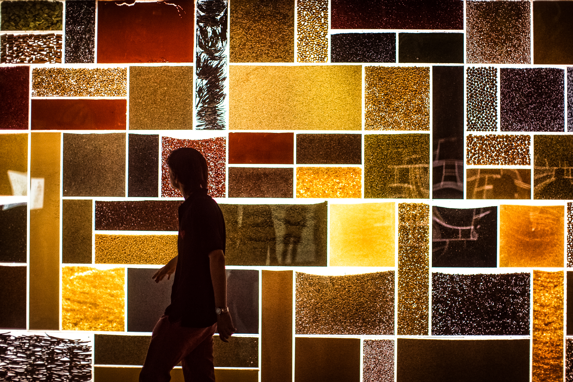 The seeds of the earth