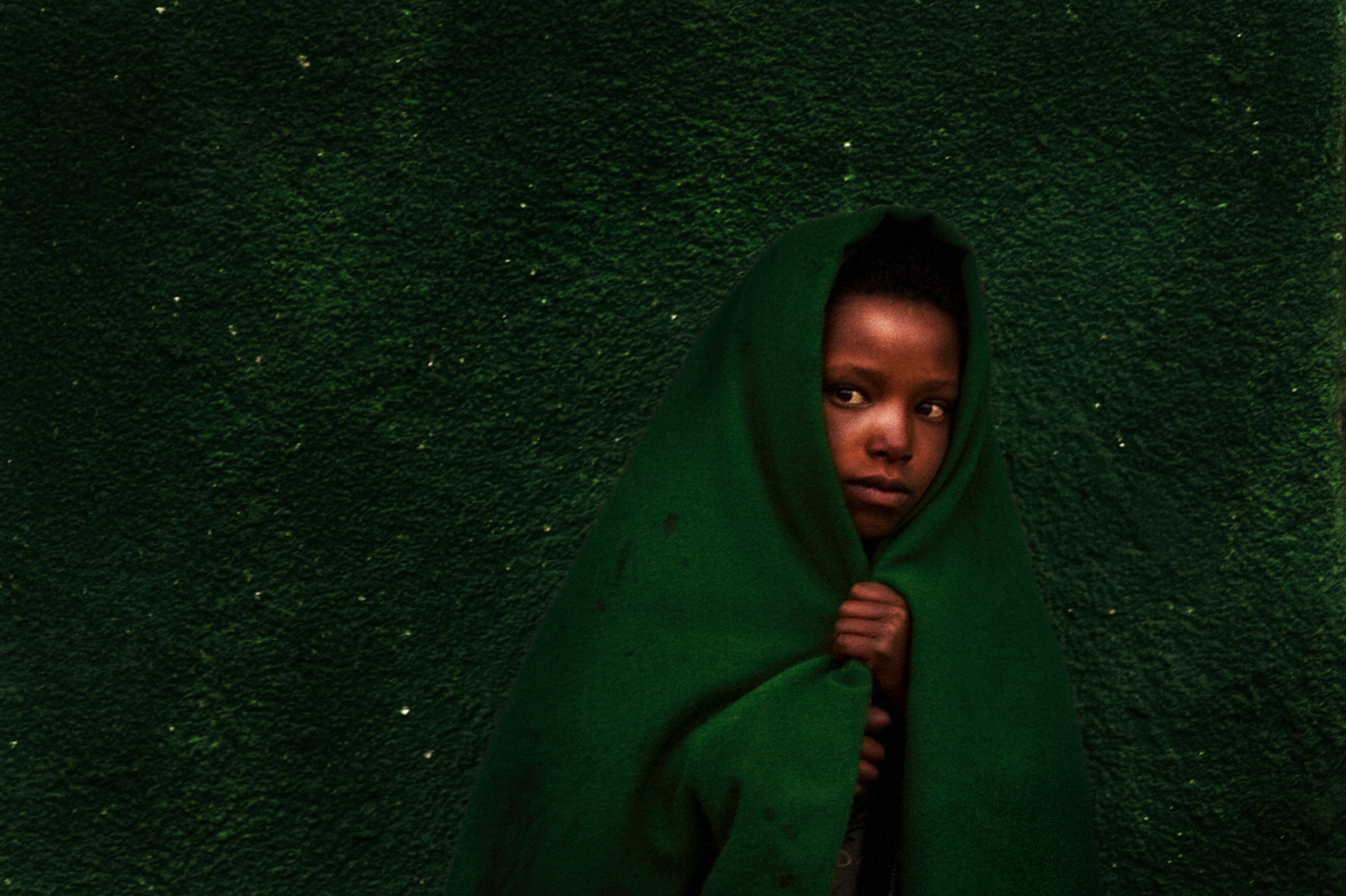 The age green - The green generation